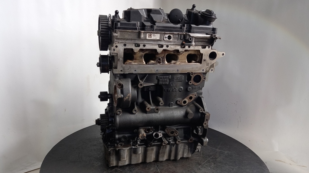 Двигун Volkswagen Tiguan 2.0 TDi 4 Motion 2019 DFHA