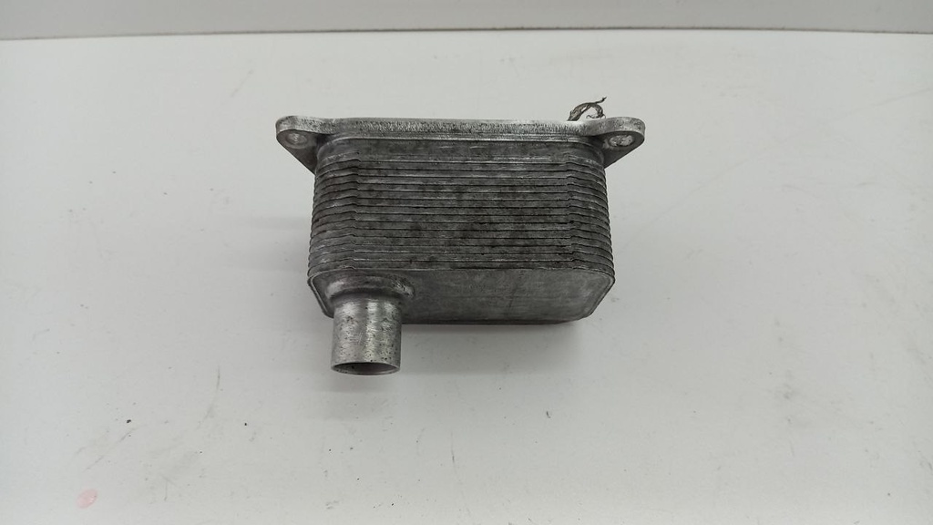 Радіатор масляний Volkswagen Passat B7 2.0 TFSI 2010-2014 06J117021J