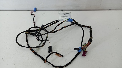 [A2185404307] Электропроводка двери Mercedes CLS C218 2014 A2185404307