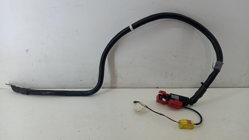 [3D1971228C] Провод аккумулятора Volkswagen Phaeton 3.0 TDI 2012 3D1971228C